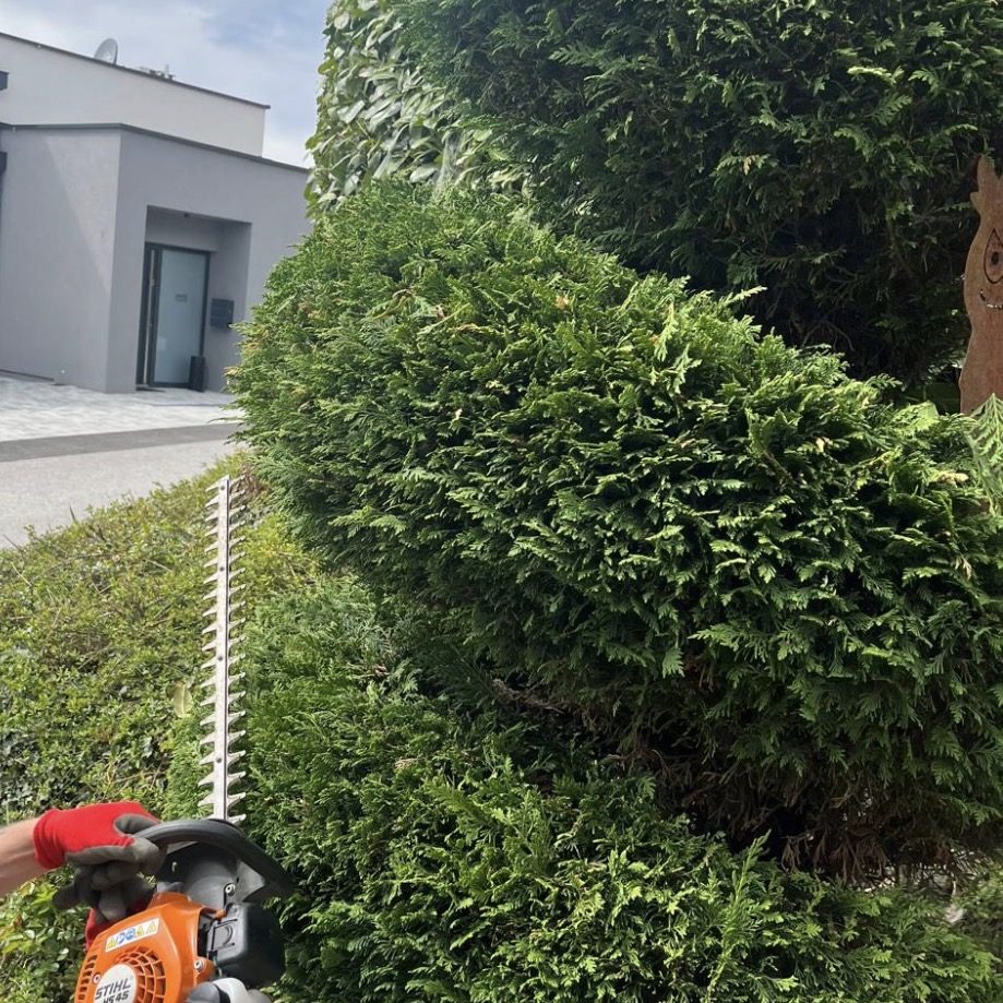 Grund & Goartn Gartenpflege in Hitzendorf Graz & Graz- Umgebung durch Grund & Goartn