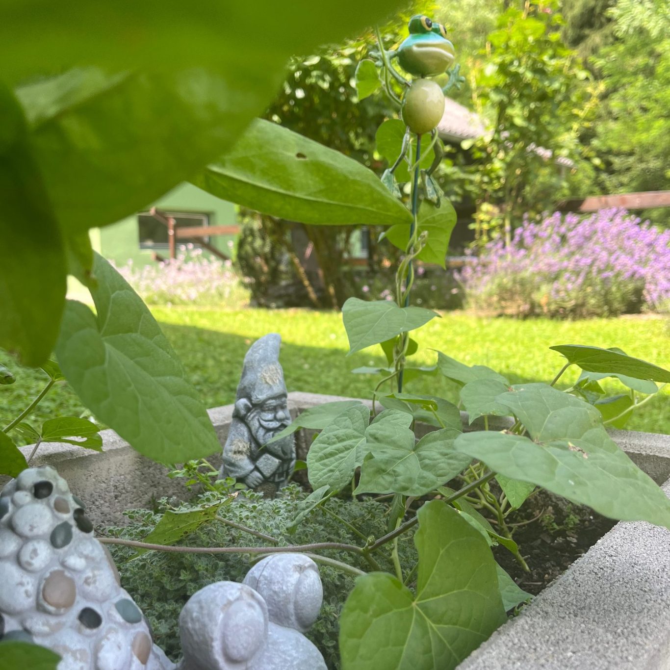 Zuverlässige Objektbetreuung und Grundstückspflege in Hitzendorf, Graz-Umgebung, Graz – Grund & Goartn