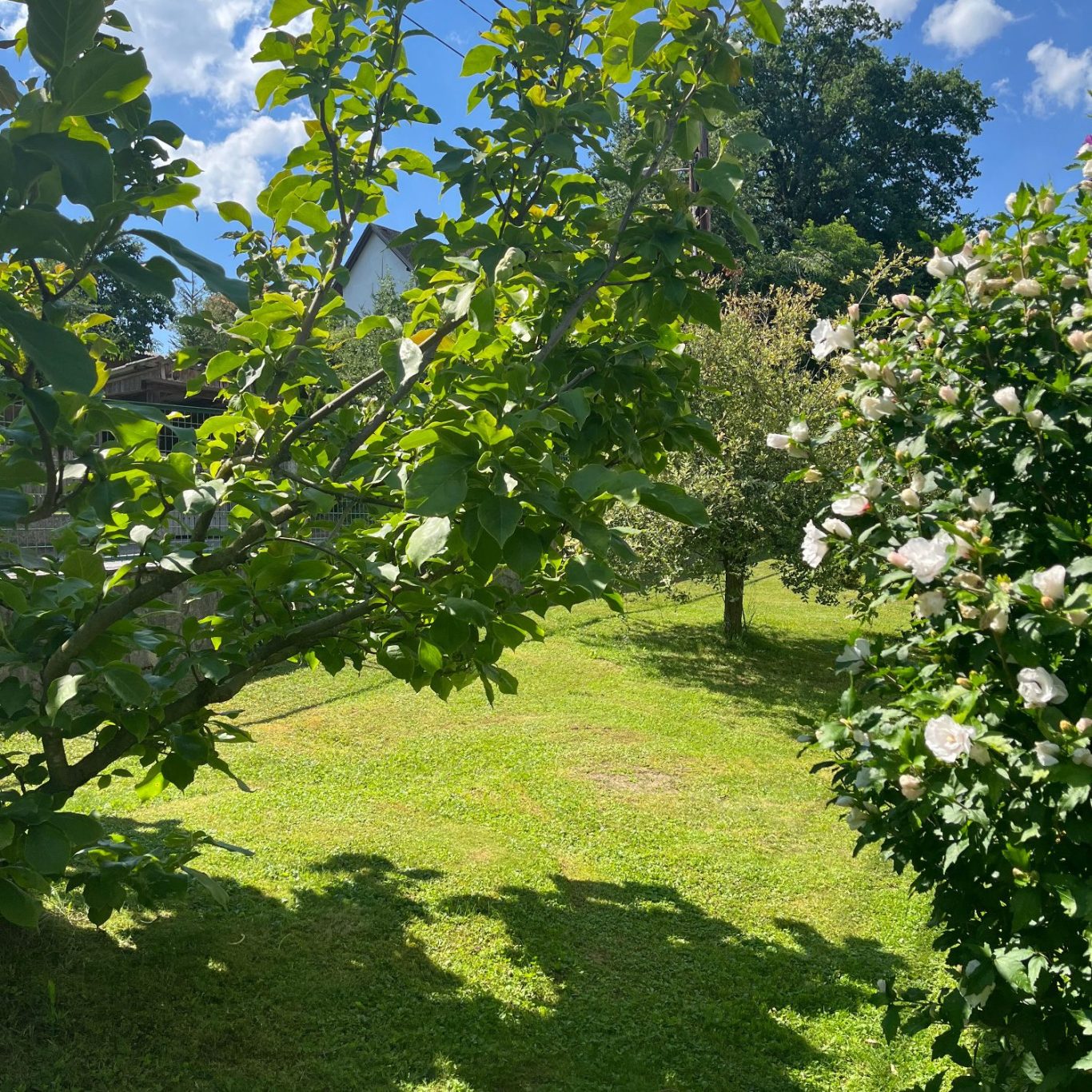  Gartenpflege in Hitzendorf Graz & Graz- Umgebung  durch Grund & Goartn
